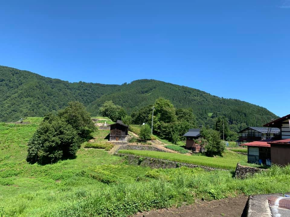 飛騨市ふるさと種蔵村 ｍｙみょうが畑プロジェクト 冬支度編 ヒダスケ