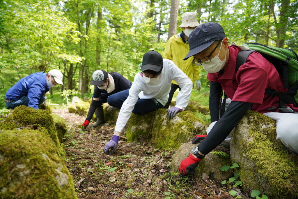 薬草ビレッジ構想推進プロジェクト 自然工法で朝霧の森の薬草壇補修 のお手伝い ヒダスケ
