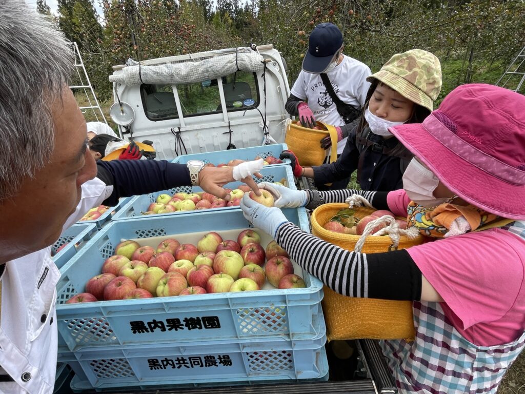 耕作放棄地を復活させよう！美味しい飛騨りんごを収穫体験🍎