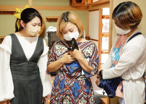 飛騨古川でネコのお世話をしませんか？『SAVE THE CAT HIDA プロジェクト』保護ネコシェルターの掃除のお手伝い！