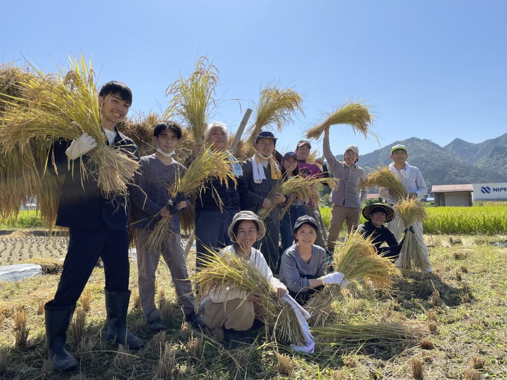 飛騨古川で稲刈り＆はさ掛け体験をしてみよう！
