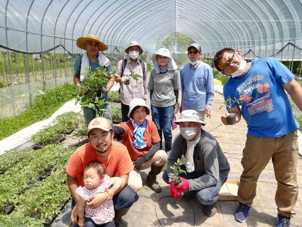 飛騨河合の井関農園『トマトの苗植え』のお手伝い！不耕起の畑に苗植え体験をしてみよう！