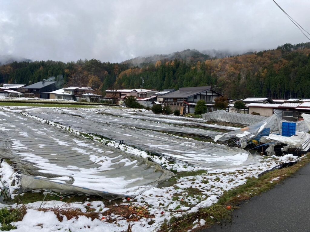 【災害ヒダスケ！】雪害にあった農家を救援！雪の重みで倒壊したビニールハウス撤去のお手伝い！
