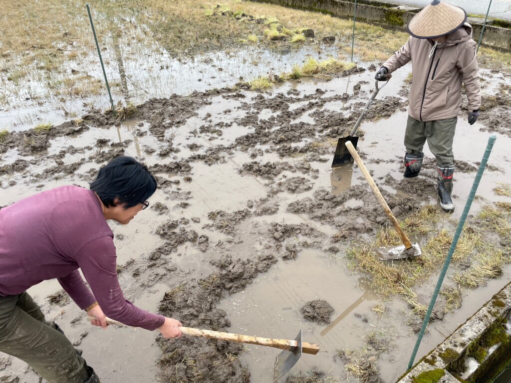 飛騨古川の田んぼでビオトープづくり体験！田んぼビオトープの水漏れを止めよう！