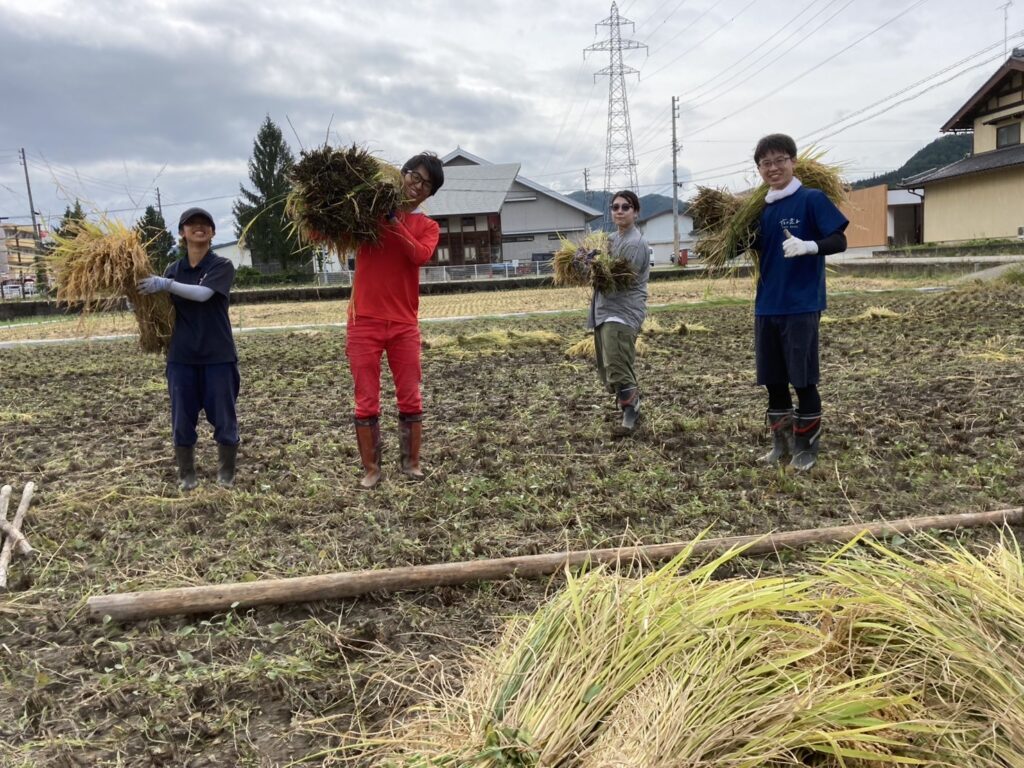 飛騨古川で稲刈り＆はさがけのお手伝いをしました🙌