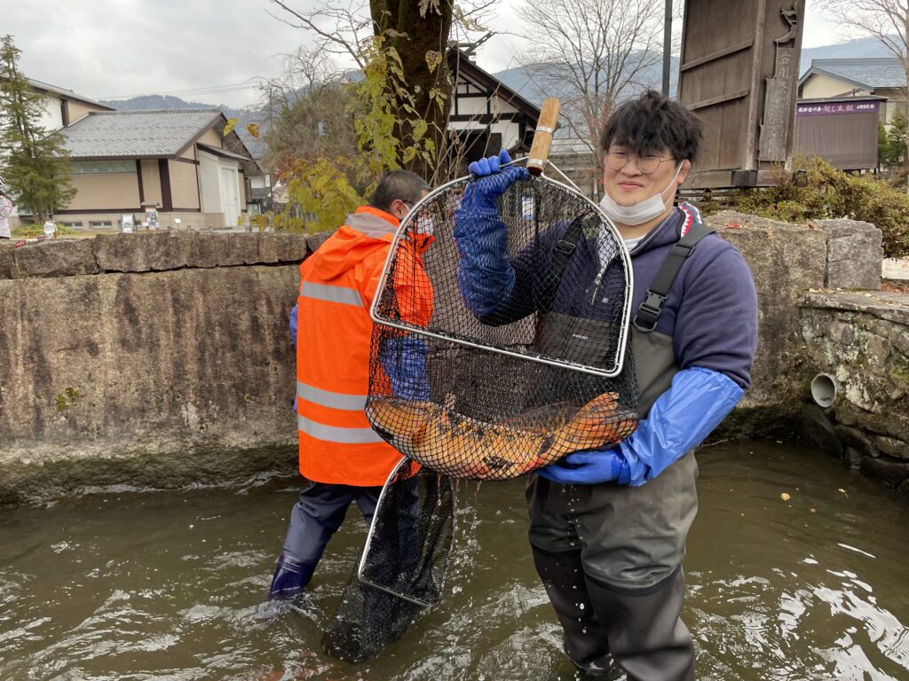 飛騨古川 冬の風物詩『瀬戸川の鯉の引越し2024』をしよう！