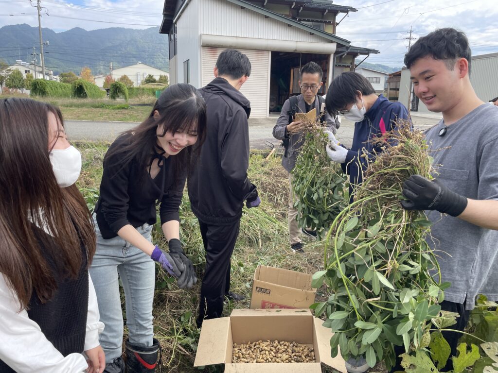 飛騨古川の畑で色々な大豆の「収穫・脱穀・選別」を体験してみよう！