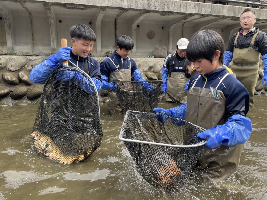 飛騨古川の春の風物詩『瀬戸川の鯉の引越し2025』をしよう！