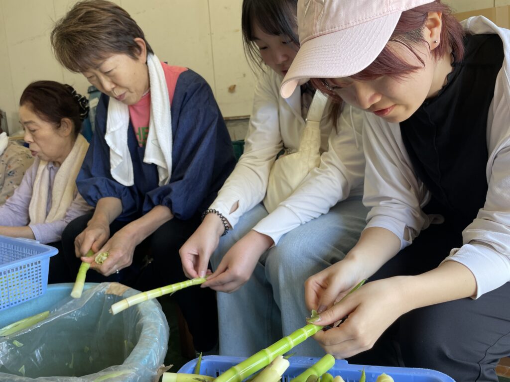 ひだ山菜収穫の季節！姫竹の皮むきをしてみよう！