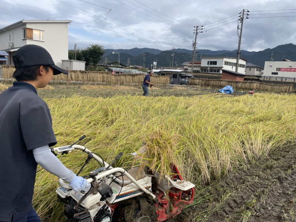 森さんちの田んぼの『稲刈り＆はさ掛け』をしよう！