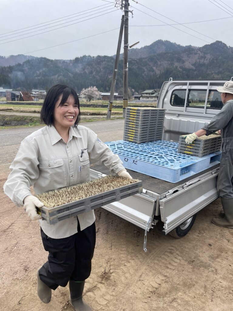 稲苗箱をビニールハウス搬入・並べヒダスケ！を行いました
