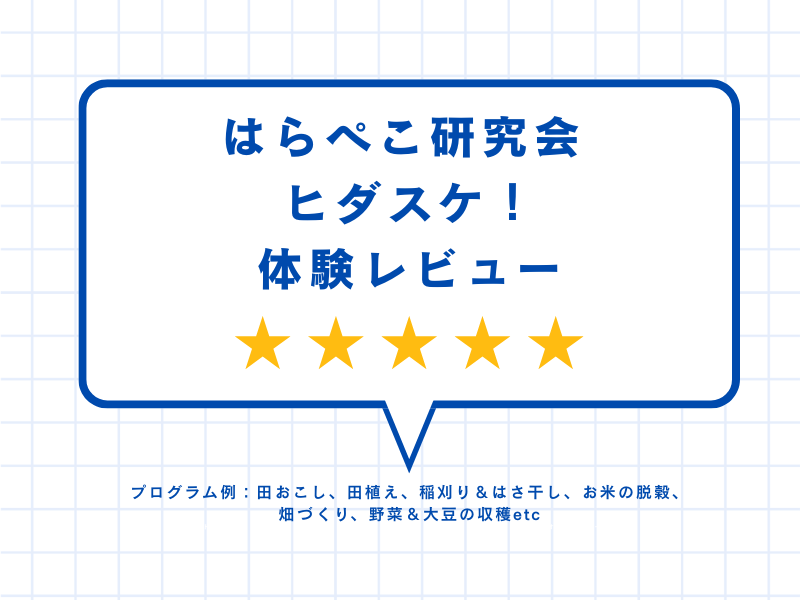 はらぺこ研究会ヒダスケ！体験レビュー