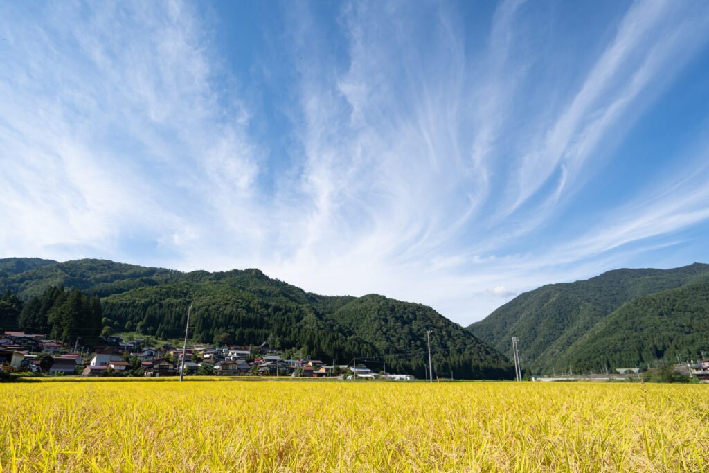 『ひ田すけ！』スタート！稲作が抱える課題をお助け！