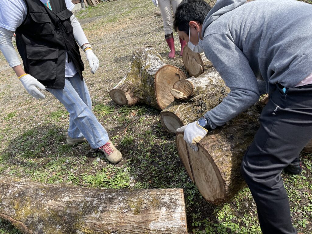 伐採した桃の木の丸太運びのお手伝い募集！