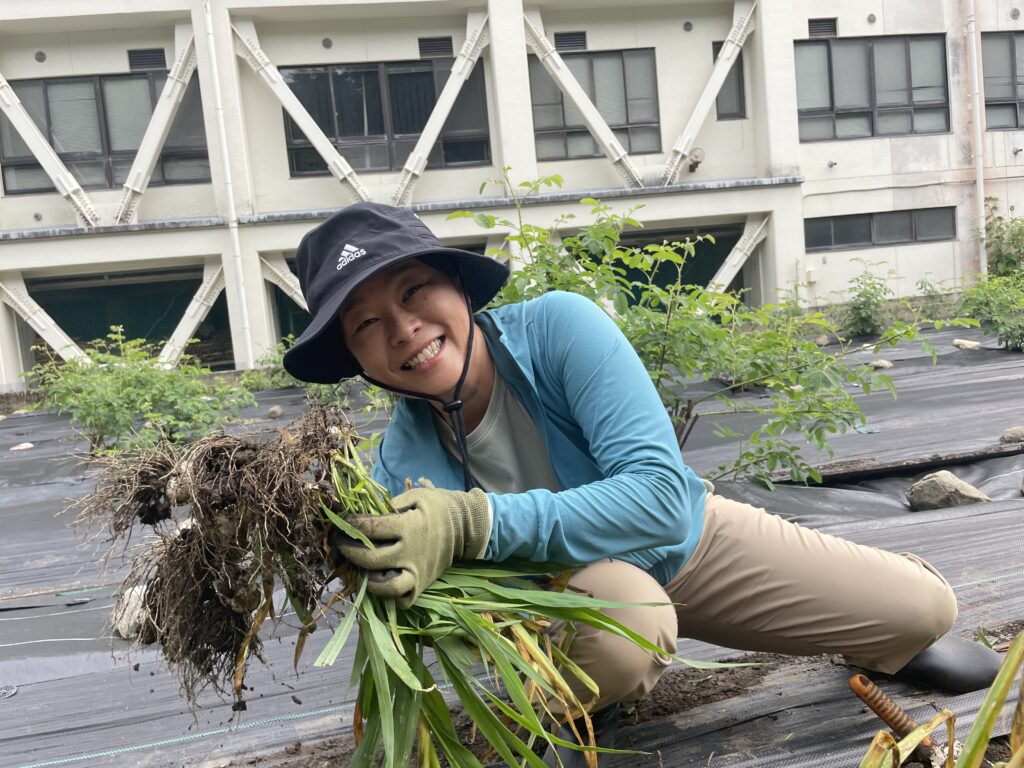 【急募！】池田農園のにんにくを救出せよ！