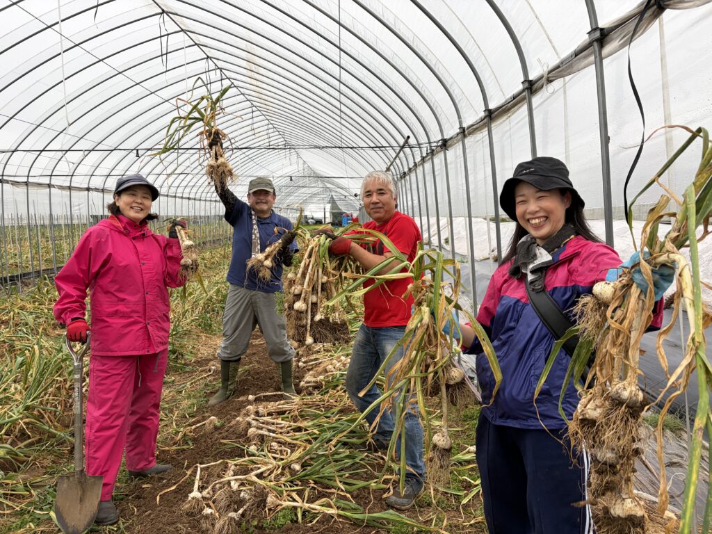 【急募！】池田農園のにんにくを救出せよ！