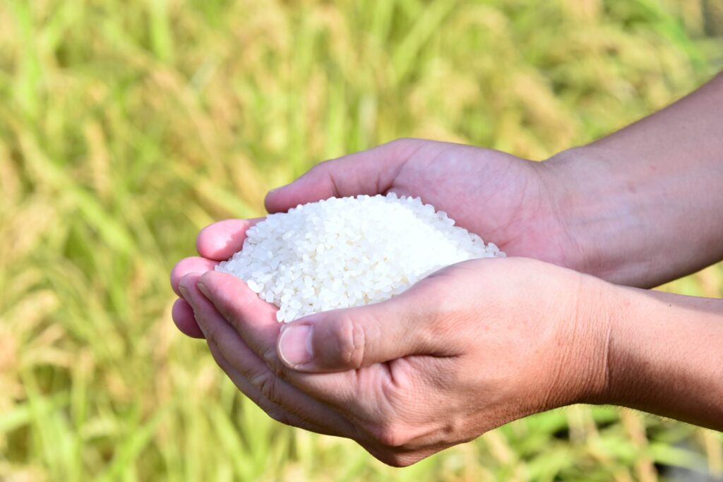 皇居献上米農家さんと農業用水路の雑草とりのお手伝い！